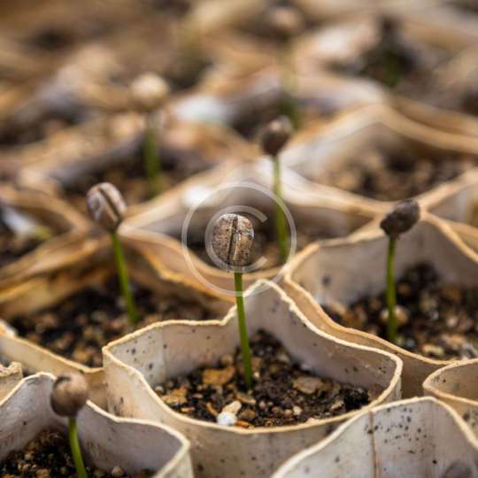 30 Brilliant Garden Edging Ideas You Can Do At Home